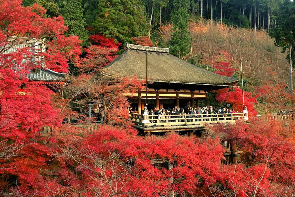 Villa Zen Kyoto Kinkaku-Ji Temple Esterno foto